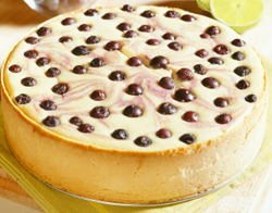 blueberry cheesecake